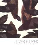 Liver Flukes