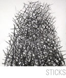 Sticks