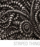 Striped Thing