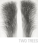 Two Trees