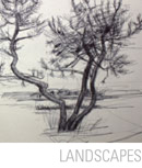 2012 Landscapes